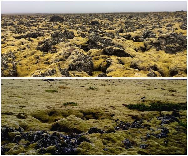 Campos de Lava desde el coche de alquiler en Islandia