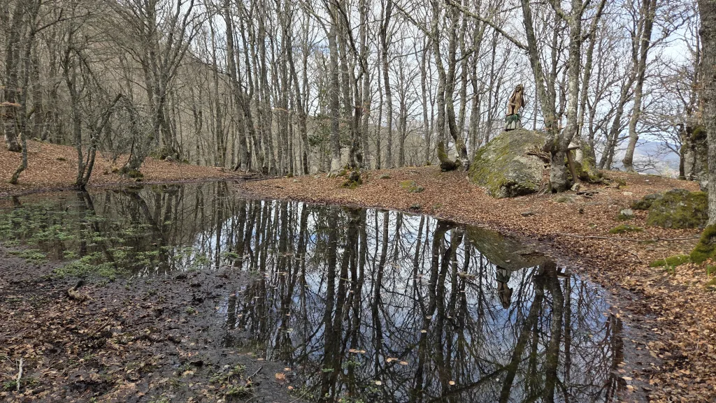 Imagen de la mora y una pequeña poza en la senda de la Mitología leonesa