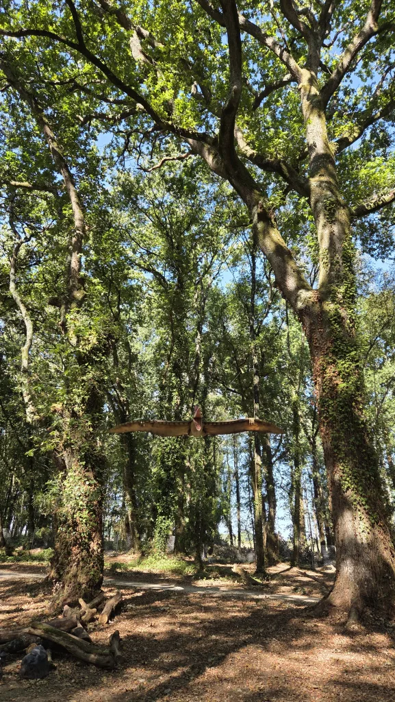 Dinosaurio volador en una carballeira en un pueblo de Lugo