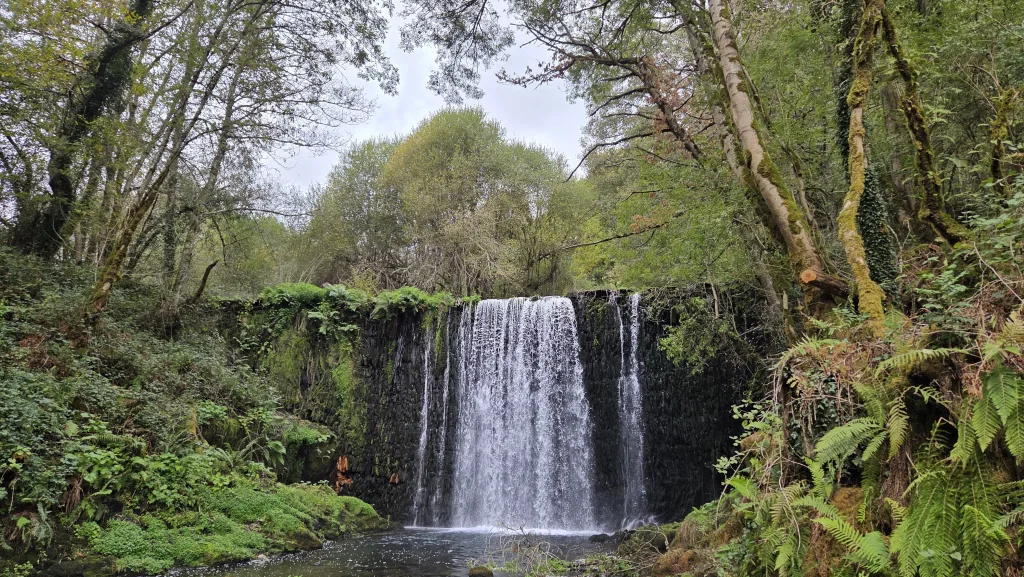 Cascada o fervenza da Acea da Serra en la que se puede ver el espectacular salto de agua rodeado de bosque